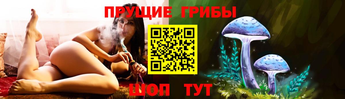 Галлюциногенные грибы мицелий Торжок